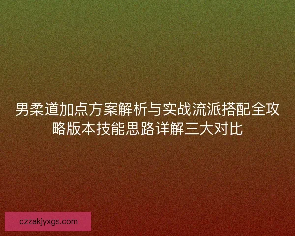 男柔道加点方案解析与实战流派搭配全攻略版本技能思路详解三大对比