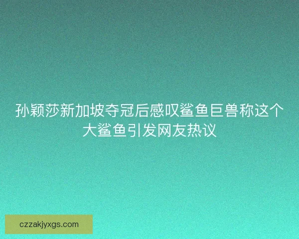 孙颖莎新加坡夺冠后感叹鲨鱼巨兽称这个大鲨鱼引发网友热议